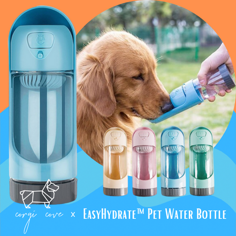 Corgi Cove x EasyHydrate™ Pet Water Bottle
